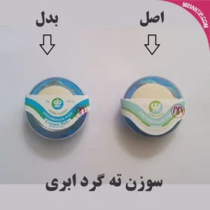 سوزن ته گزد ابری